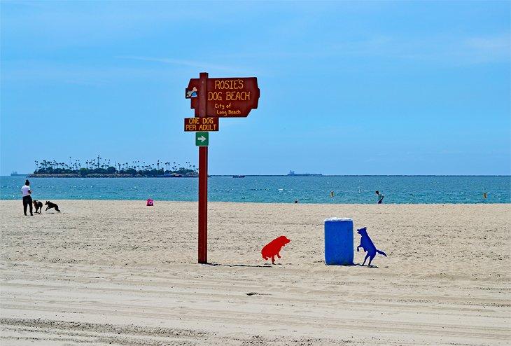 Plage pour chiens de Rosie's