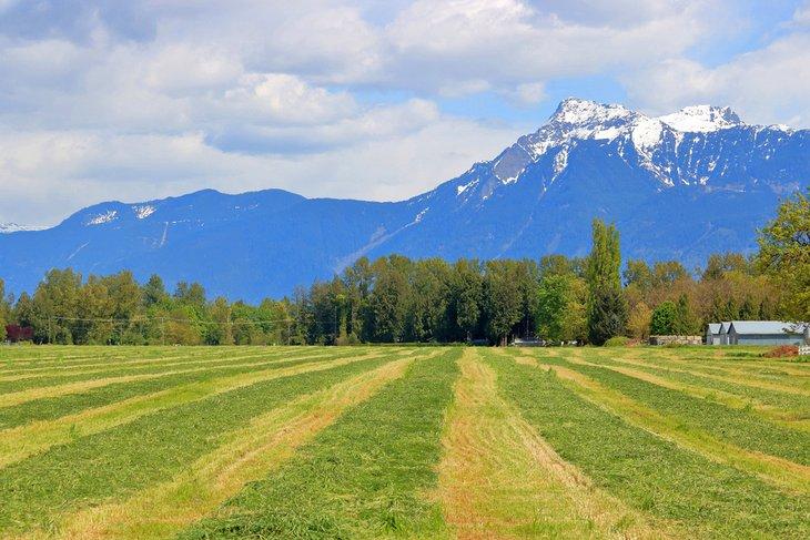 Terres agricoles et montagne Sumas