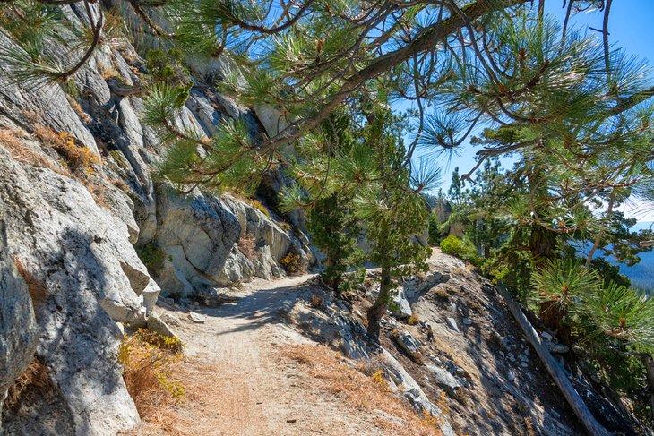 Incline Flume Trail