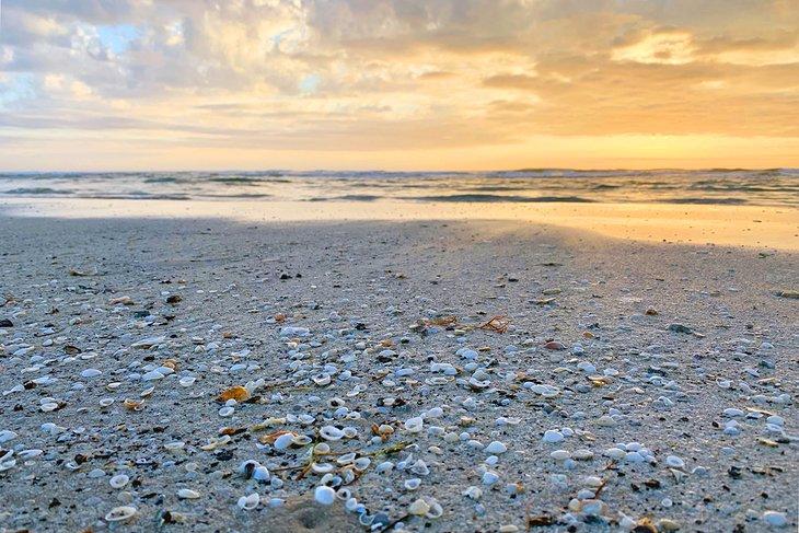 Plage de Little Shell
