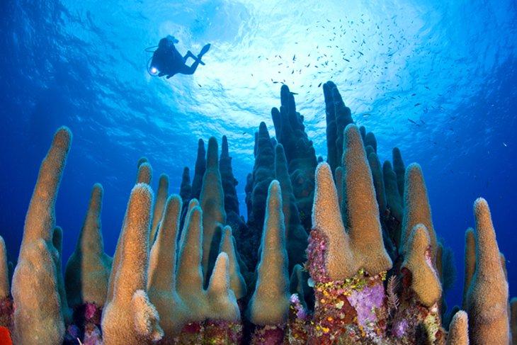 Buceo en las Islas Caimán