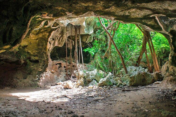 Cueva de los Murciélagos, Cayman Brac