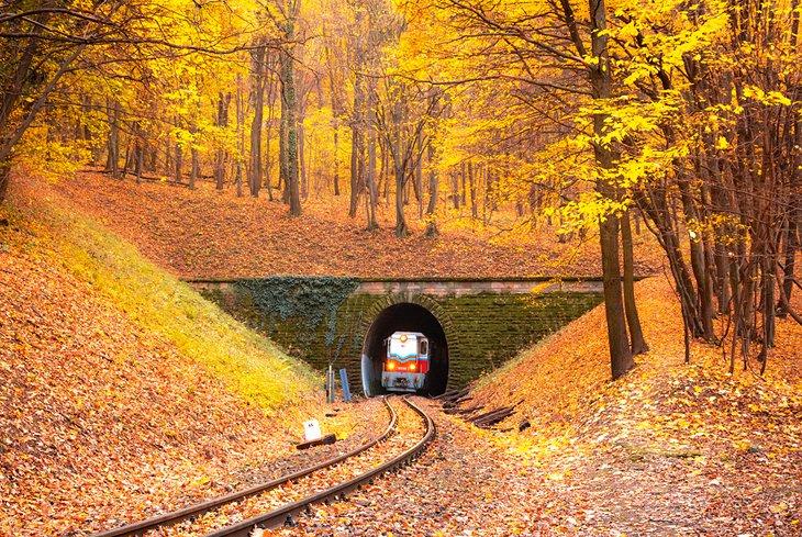 Tren recorriendo los bosques húngaros en otoño