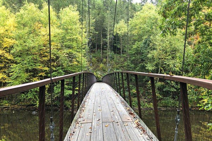 Puente de Henry David Thoreau