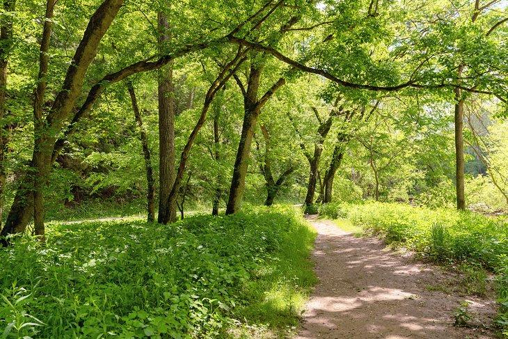 Trail durch den Clear Creek Metro Park