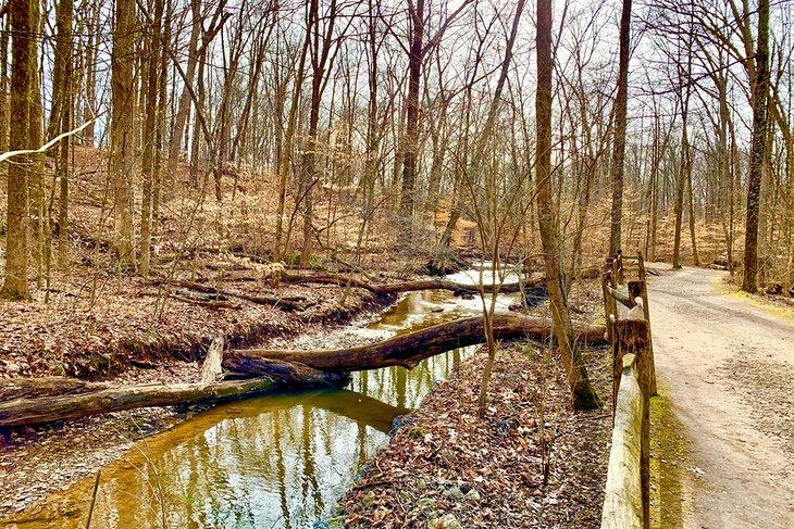 Blendon Woods Trails