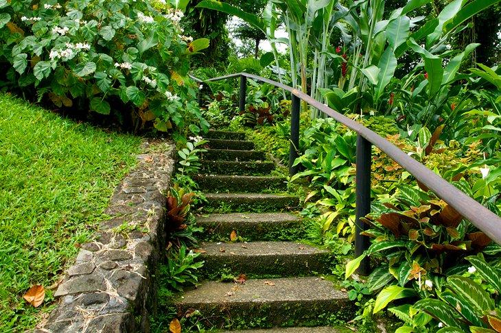 Botanischer Garten St. Vincent