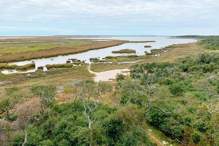 Refugio Nacional de Vida Silvestre Aransas