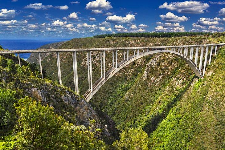El salto de bungee más alto del mundo en el Puente Bloukrans