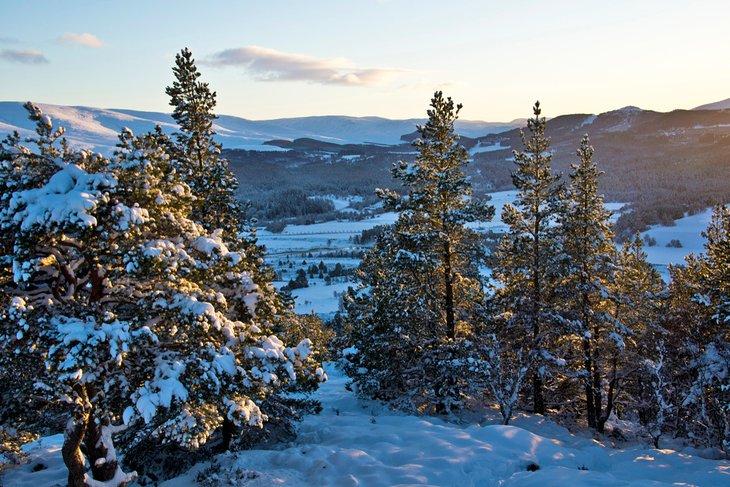 Vista desde la cumbre nevada de Craigendarrock en los Cairngorms escoceses