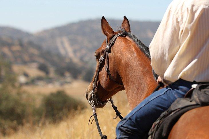 Montar a caballo por senderos