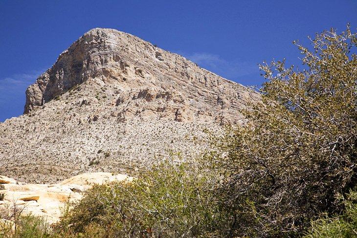 Sendero Turtlehead Peak