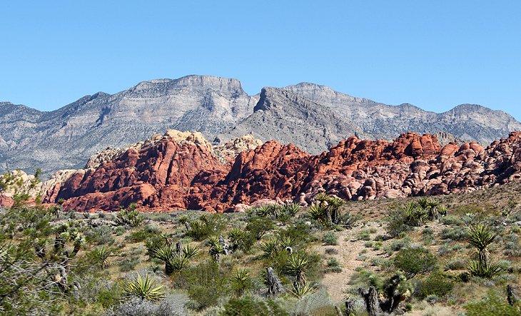 Parque estatal Red Rock Canyon