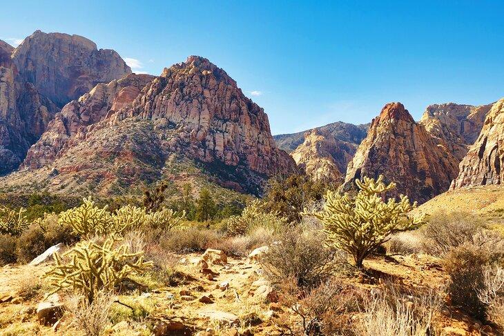 Cañón Pine Creek