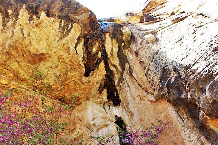 Cañón Perdido - Sendero de Descubrimiento Infantil