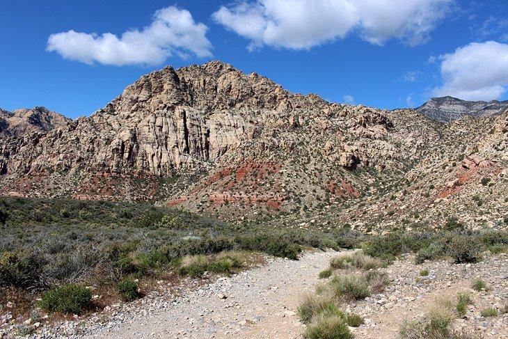 Sendero Circular White Rock - Willow Spring