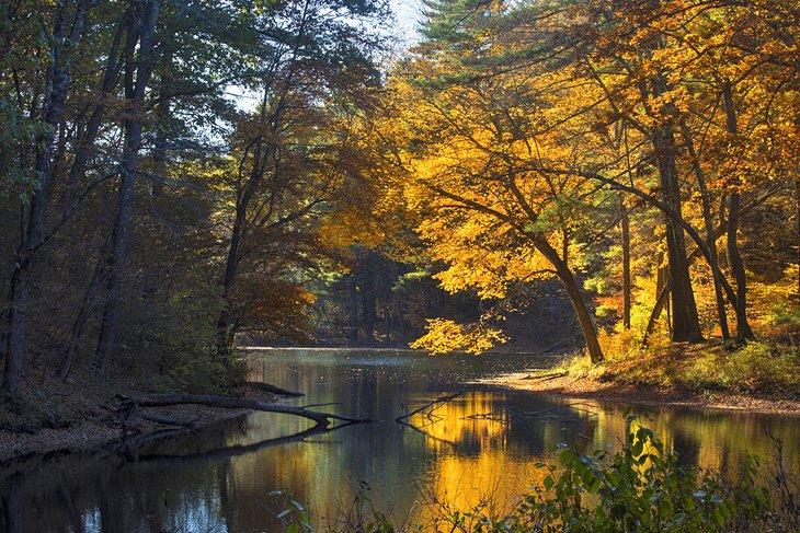 Colores de otoño en el Parque Estatal Mansfield Hollow