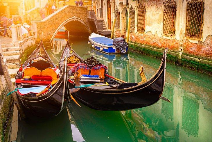 Venecia