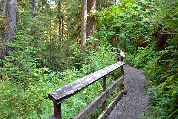 Sendero Nacional de Recreación Quinault