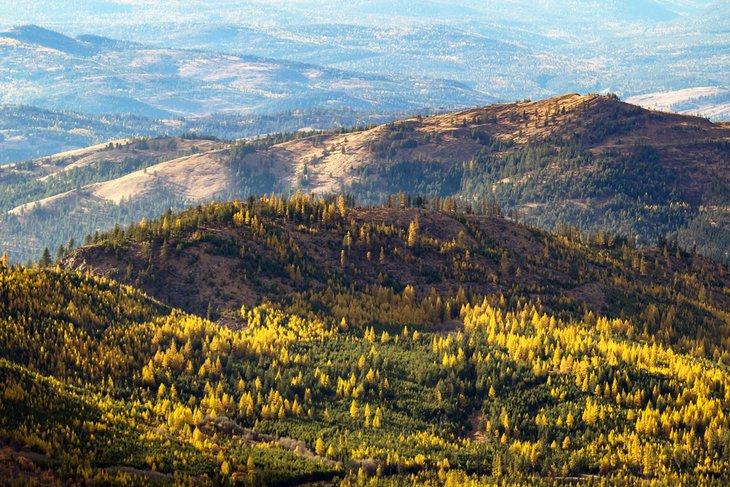 Bosque Nacional Colville