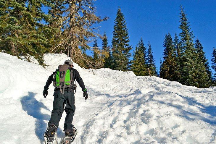Bosque Nacional Mt. Baker-Snoqualmie en invierno