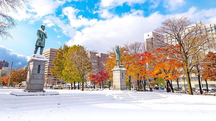 Herbstschnee im Odori Park, Sapporo, Japan
