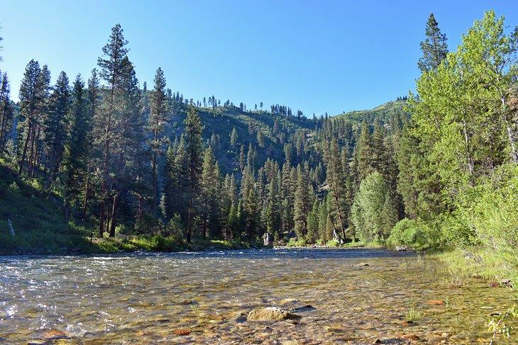 Río North Fork Boise en el Camping Black Rock