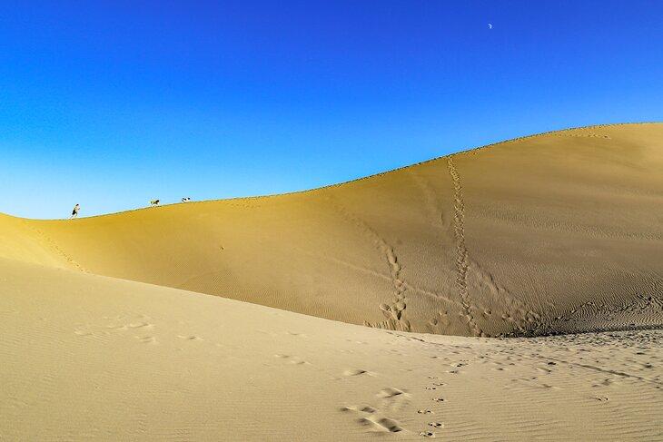 Parque Estatal Bruneau Dunes