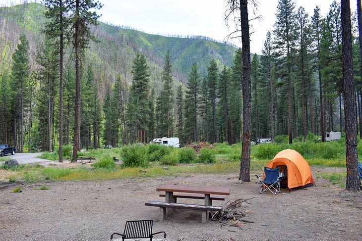 Camping Pine Flats