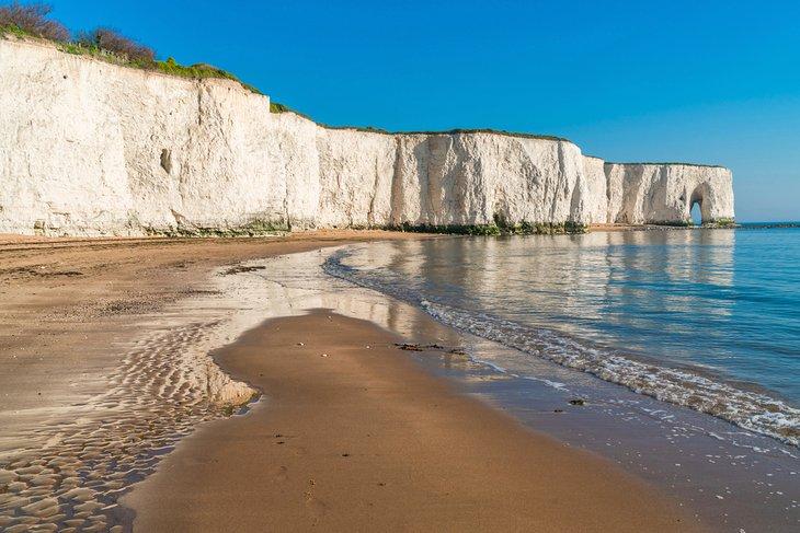 Weiße Klippen bei Kingsgate Bay