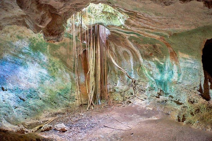 Cueva Ambrosia en el Parque Ecológico de Varadero
