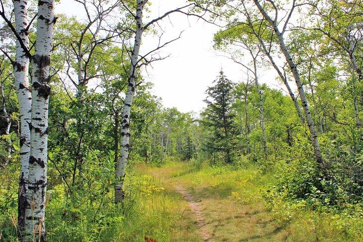Parc provincial de Birds Hill