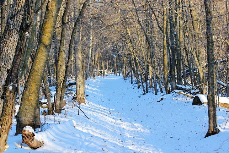 Sentier dans le parc provincial de Beaudry