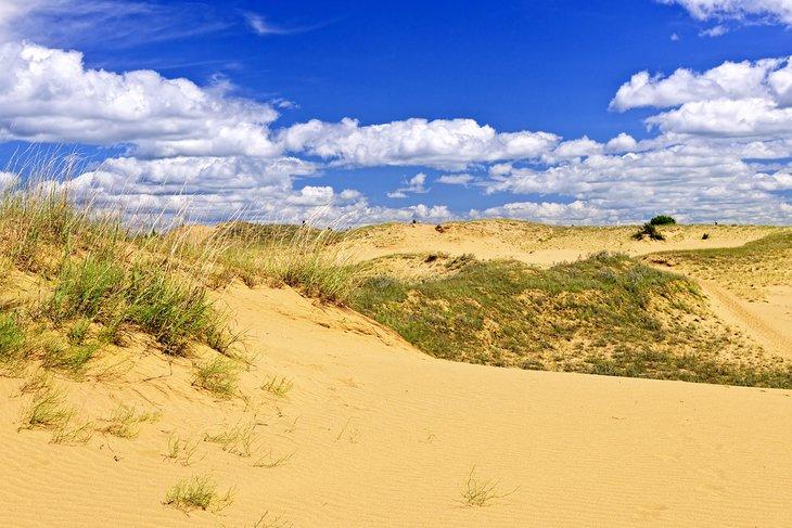 Dunes de sable dans le parc provincial de Spruce Woods