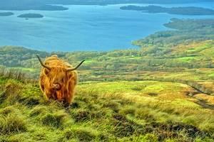 De Glasgow à Loch Ness : Les meilleurs moyens d'y accéder