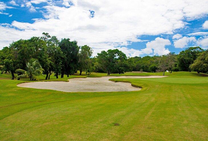 Campo de golf Cinnamon Hill