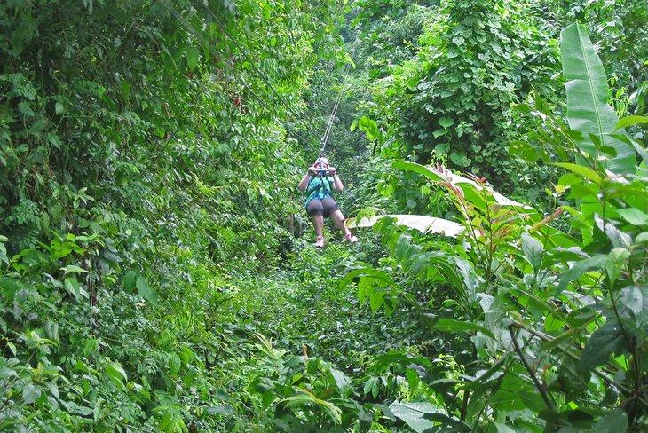 Tirolesa en Jamaica