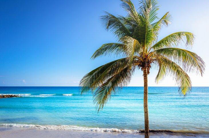 Playa en Montego Bay