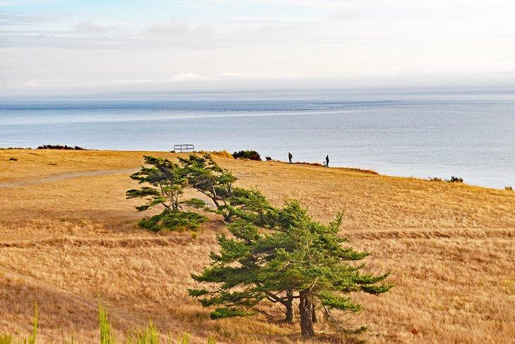 Parque Estatal Fort Ebey
