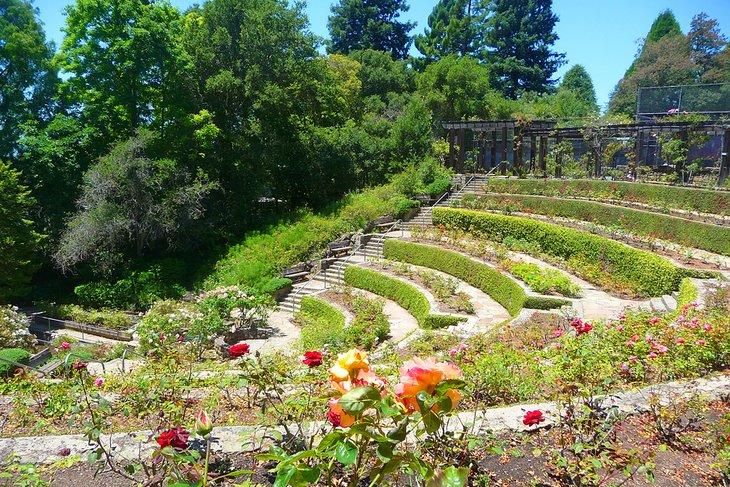 Jardín de Rosas de Berkeley