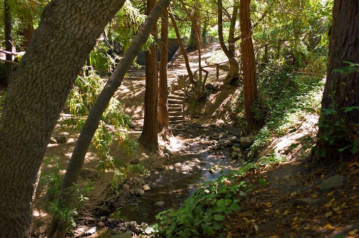 Parque Live Oak en Berkeley