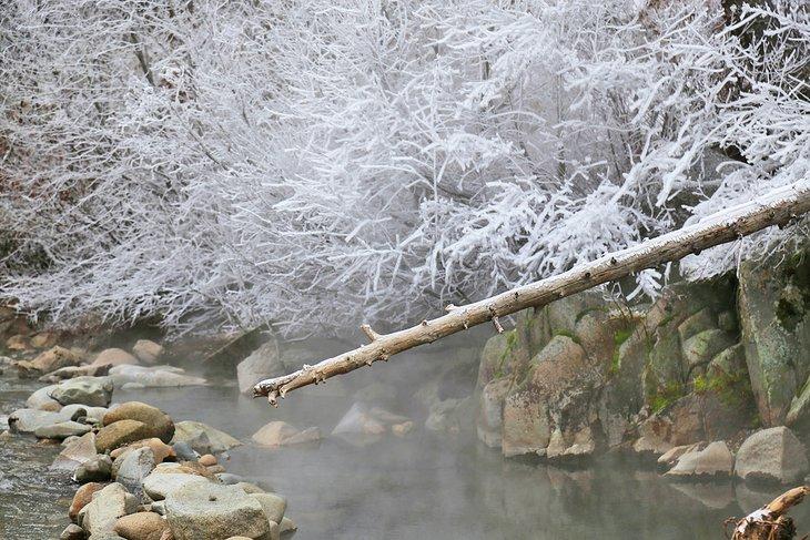 Aguas termales de Frenchmen's Bend en invierno