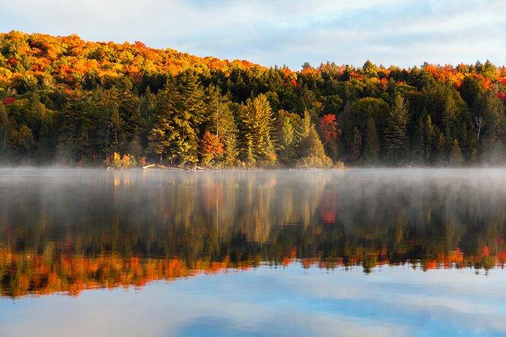 Colores de otoño en el Parque Algonquin