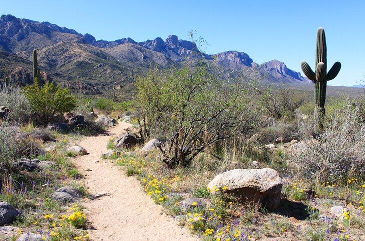 Sutherland Trail en Tucson