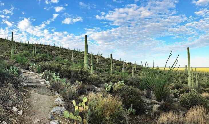 Sendero Douglas Springs