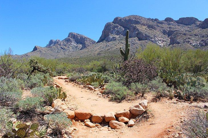 Linda Vista Trail |  Foto Copyright: Lana Law