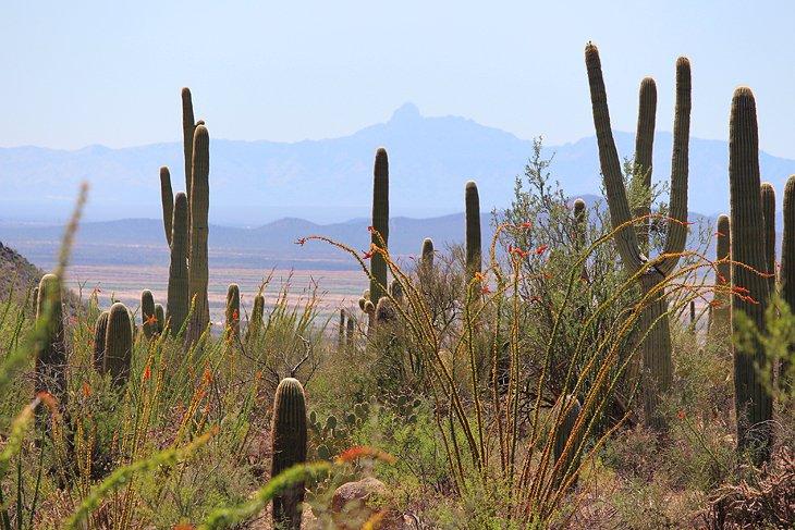 Valley View Overlook Trail |  Foto Copyright: Lana Law