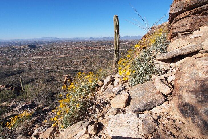 Vista desde Blackett's Ridge Trail