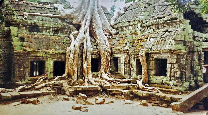 Ruinas en el Complejo de Angkor