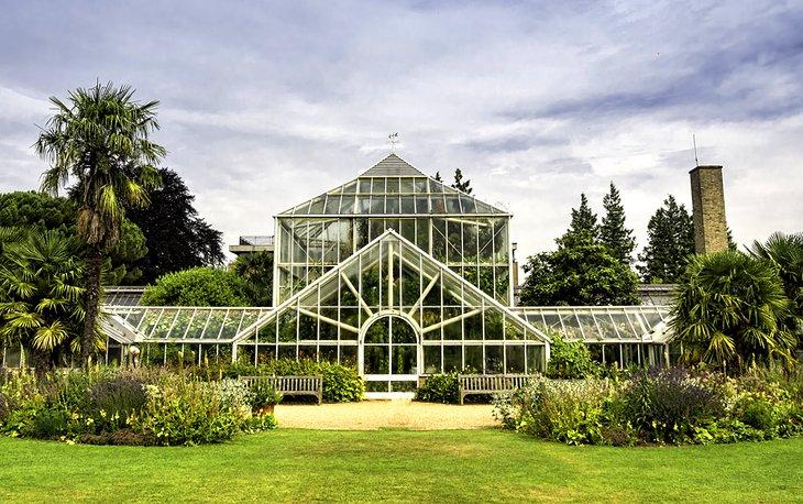 Jardín Botánico de la Universidad de Cambridge